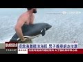 衝浪驚見擱淺海豚「暖男抱抱」送回大海，瀕死小松鼠重獲新生，並替牠打造一間專屬豪宅，縫製小衣服讓牠保護傷口