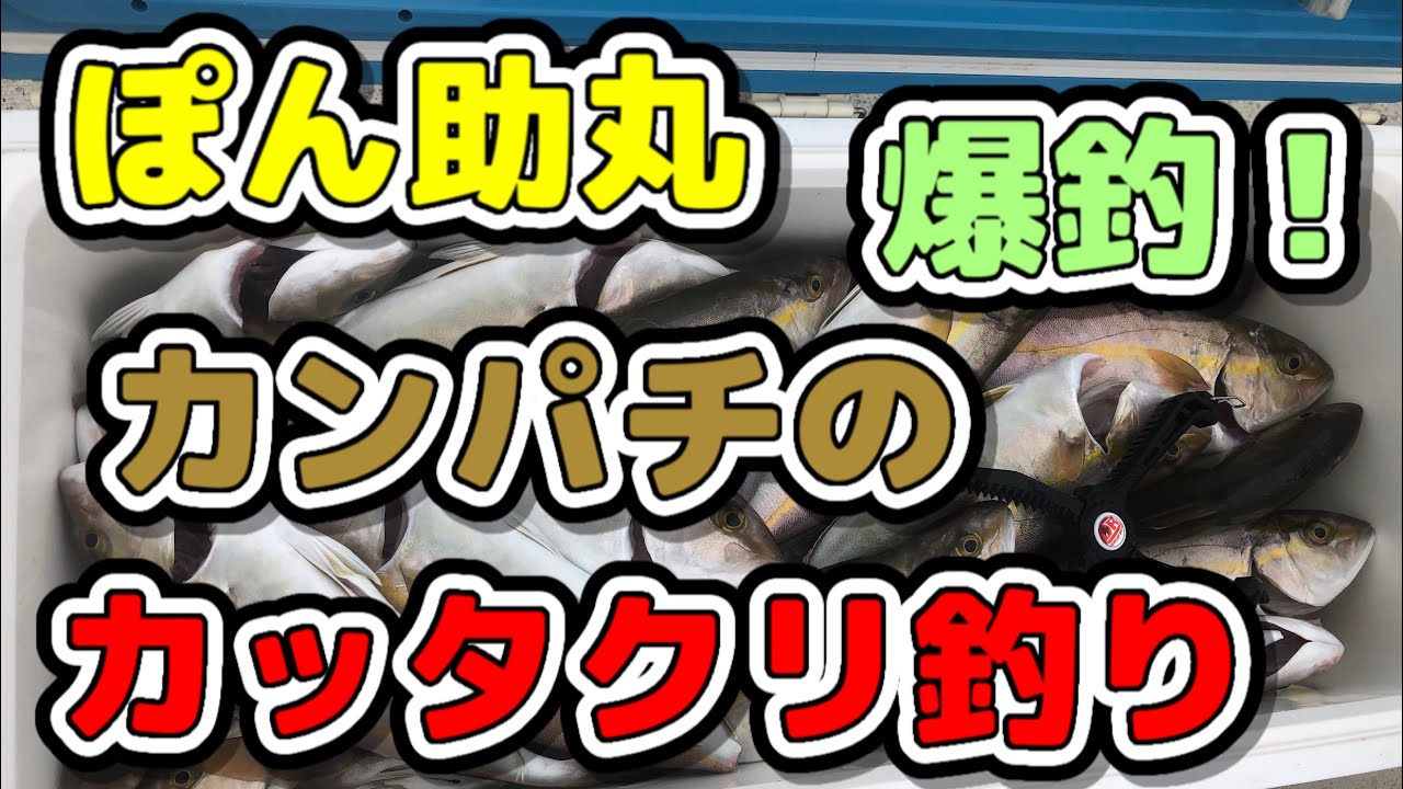 カンパチのカッタクリ釣り これさえ見とけば爆釣間違いなし Youtube