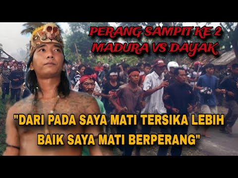 P3RANG SAMPIT KE 2 MADURA VS DAYAK  PADA SUATU KETIKA DI KALIMANTAN