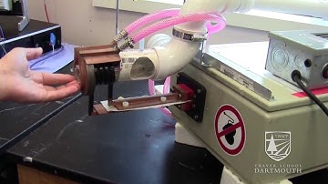 Dartmouth PhD Innovation Program: Alicia Petryk