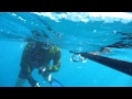 shooting a coral trout with speargun