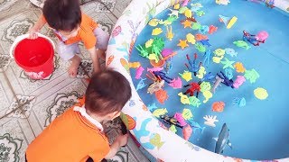 Đồ Chơi Trẻ Em Baby Fun ❤️ Trò Chơi Bắt Cá Thả Hồ Bơi và Làm Món Bánh Cá ❤️ Gia Đình Baby Shark