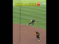 Brandon Lowe’s INSANE diving stop! 🤯🏊♂️⚾️ #baseball #parati #mlb #youtube #beisbol