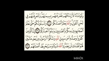 سورة محمد ٣٠الى٣٢ #سورةالفاتحة #اكسبلور #سورةالكوثر #الورقات #لايك #المصحف #سورةالاخلاص #تيك_توك