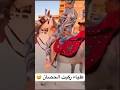 علياء قمرون ركبت الحصان