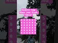 Observation Visual Test: 5 Seconds For You To Spot:9855 . Try Your Skills! #search #puzzle #shorts