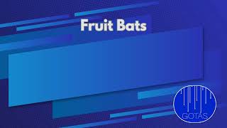 FRUIT BATS - The Landfill