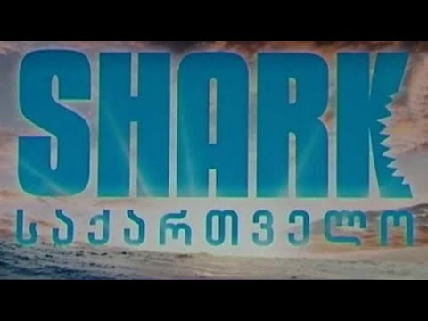 „შარკ თენქ საქართველო“ პირველ არხზე