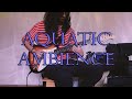 Aquatic ambience  scizzie fingerstyle cover