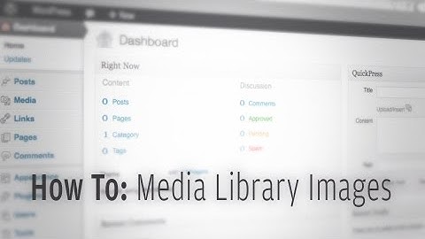 Wordpress Add Image from Media Library