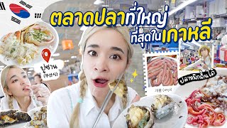 ตลาดปลาที่ใหญ่ที่สุดในเกาหลีใต้ 🇰🇷 สัตว์น้ำแปลกๆเพียบ | ZOMMARIE in Korea EP.2