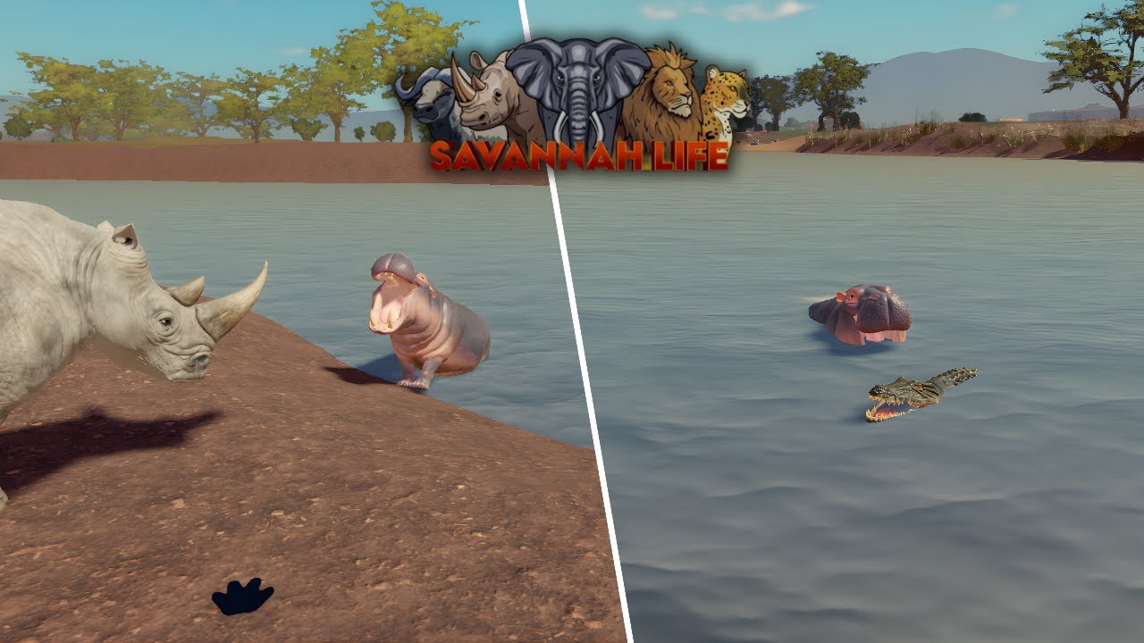 Hippopotamus (Hippo) Hunting Everyone in Savannah Life ⏐ ROBLOX 🦛