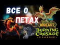 Все о петах Охотников | Полный гайд о питомцах | WoW Burning Crusade Classic