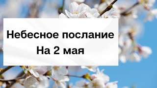 Небесное послание на 2 мая. Ваша сила.