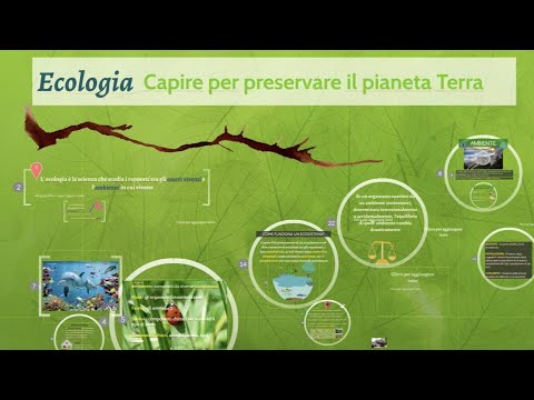 Video: Qual è la definizione di ecologia in biologia?