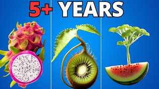 Growing Plants in 4K Time Lapse Compilation (5  Years)