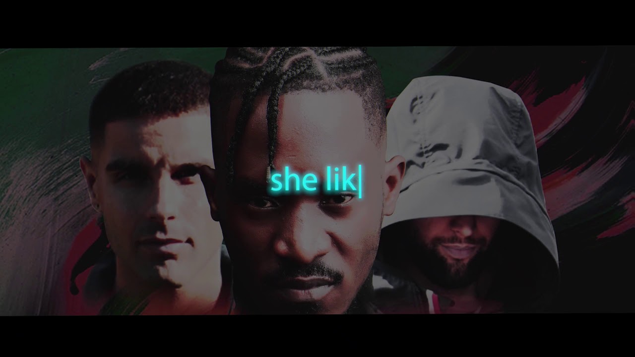 Herbert Skillz ft A Pass & Wavez -  She Likes (Official Lyrics Video)