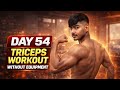Day 54 Triceps Workout 💪 | No Equipment Home Workout (Get Bigger Arms Fast!)