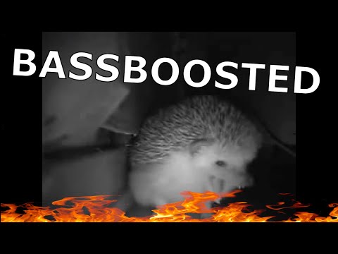 Ежик Чихает И Взрывается Атомная Бомба Bassboosted| Hedgehog Sneezes Meme