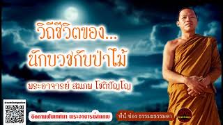 วิถีชีวิตของนักบวชกับป่าไม้ เสียงเทศน์ พระอาจารย์ สมภพ โชติปัญโญ (ไม่มีโฆษณาแทรก)