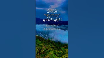 تلاوة خاشعة قرأن كريم تخشع له القلوب #اكسبلور #تلاوة #trend #duet #aslam