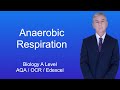 Anaerobic Respiration Quiz