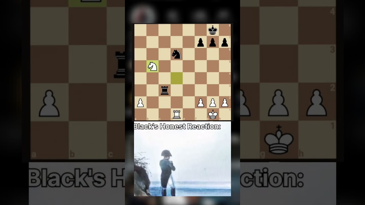 GameKnot Chess (@gameknot) / X