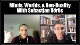 Minds, Worlds, & Nonduality: Interview with Sebastjan Vörös
