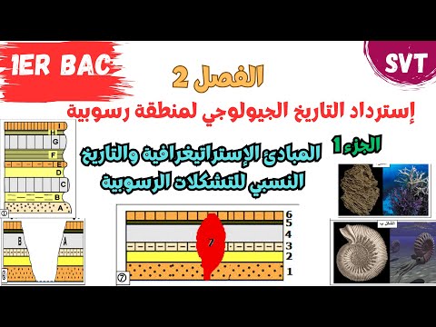 أولى باك إسترداد التاريخ الجيولوجي لمنطقة رسوبية الحصة 1 المبادئ الإستراتيغرافية وخاصية التطبق