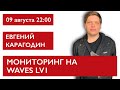 Мониторинг на WAVES LV1