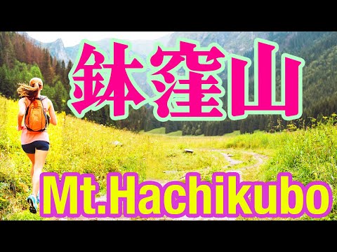 鉢窪山でトレイルラン？伊豆半島ジオパーク（静岡県伊豆市湯ケ島）