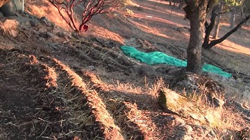 Powers Permaculture Farm Update Nov 2014 - SWALES!!