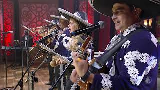 La malagueña/ Mariachi Sp Brasil