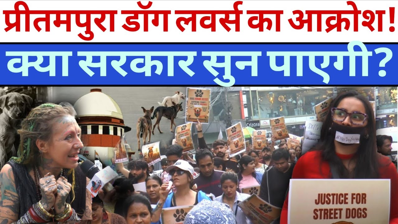 Dog lovers protest at Rohini Madhuban Chowk! Will the government listen? Delhi protest