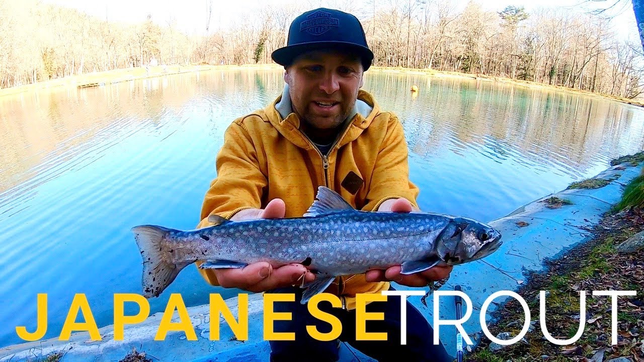 Trout Fishing Japan big brook trout! On Aussie lures YouTube