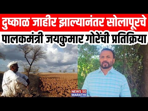Solapur Farmers ; दुष्काळ जाहीर झाल्यानंतर सोलापूरचे पालकमंत्री जयकुमार गोरेंची प्रतिक्रिया..