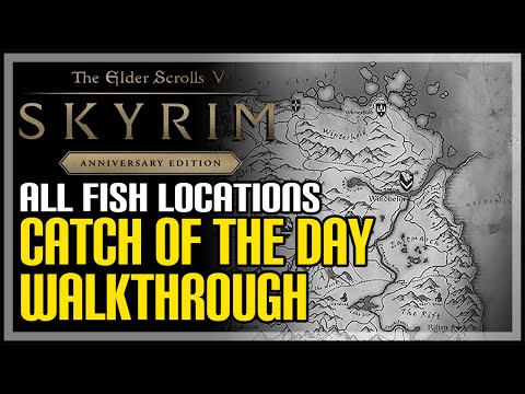 Catch of The