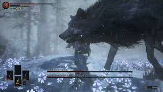 Rimeblood Hati and Great wolf Skoll - Dark Souls Archthrone Demo by Dryslia 9 views 1 month ago 8 minutes