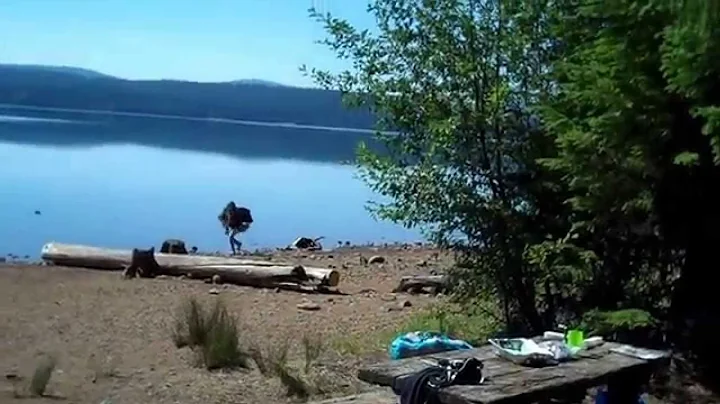 Timothy Lake-August 6-9 2015-Veronica Gates, Grand...
