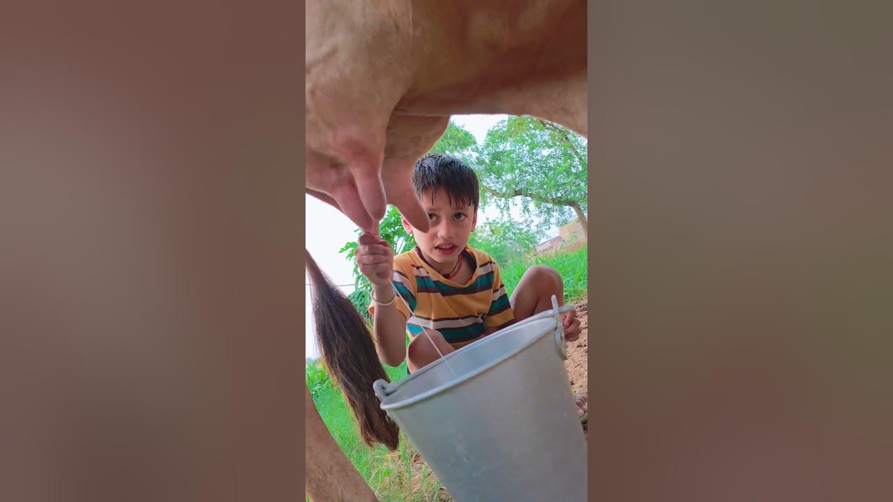 choti choti gaiya ddhgddggdy #song #love #funny