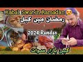 Kabal swat in ramadan  kabal bazar 2024 kabal swat kabal swat gulqadarshahofficial