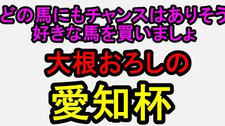 愛知杯2026!ここは自分が信じる馬を買いましょう【競馬予想】