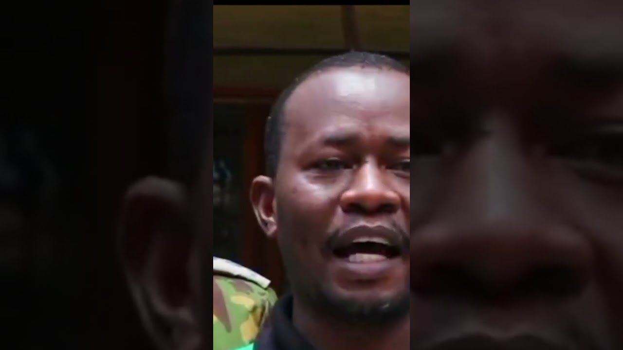 Fake maize seeds seized in Meru ahead of the planting season.