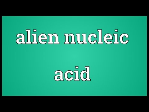 Video: Alin ang nucleic acid?