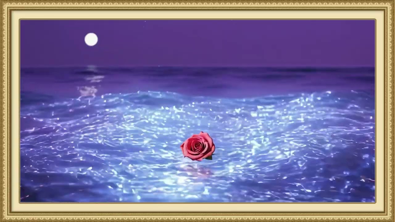 Frame tv art 4k- Rose in the ocean | Purple TV screensaver display 1 Hour