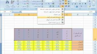 اتجاه النصExcel 2007 screenshot 4