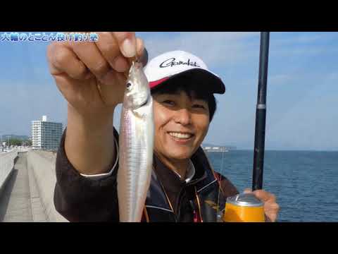 Gw前後のおすすめキス釣り場 ちょい投げ 遠投 夜釣りの引き釣り 食べて美味しいキスを釣ろう Youtube