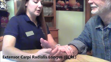 ROM and MMT: Wrist, Fingers, andThumb