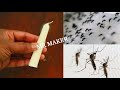 JUST ONE MINUTE || KILL MOSQUTIOS IN ONE MUNUTES || HOME REMADY ||  MR MAKER