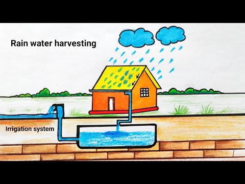How to draw save rain water harvesting | Rain water harvesting drawing| Water harvesting ideas